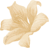 ThaiSpa
